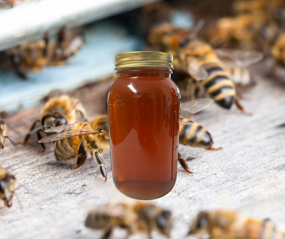 Orange County Raw Wildflower Honey