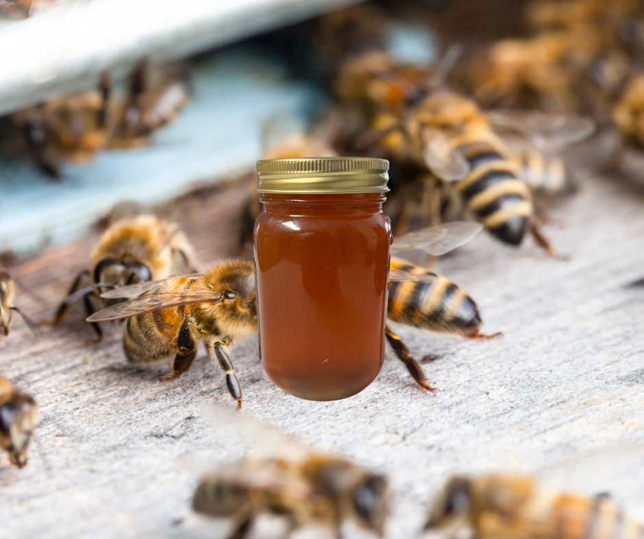 Mojave Raw Desert Honey