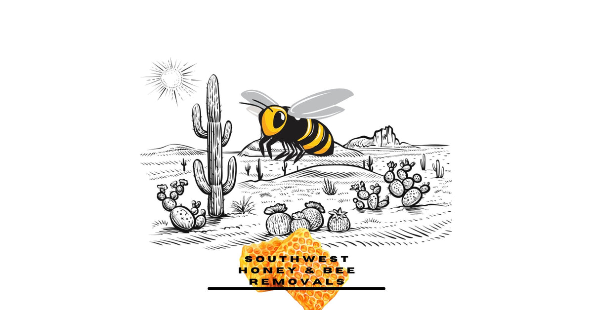 Southwest Honey and Bee Removals LLC. cover
