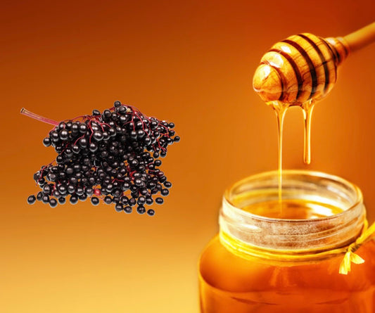 10 Health Benefits of Elderberry Honey