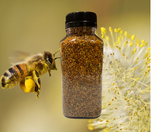 Bee Pollen 8oz