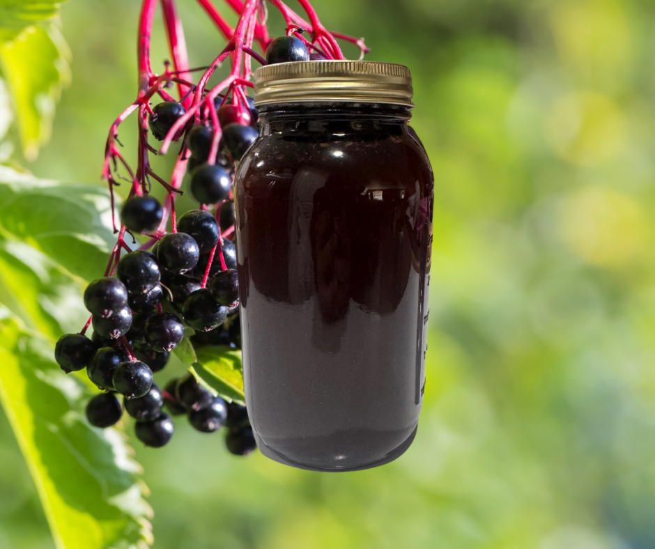 Elderberry Honey