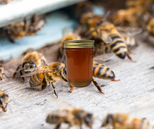 Mojave Raw Desert Honey