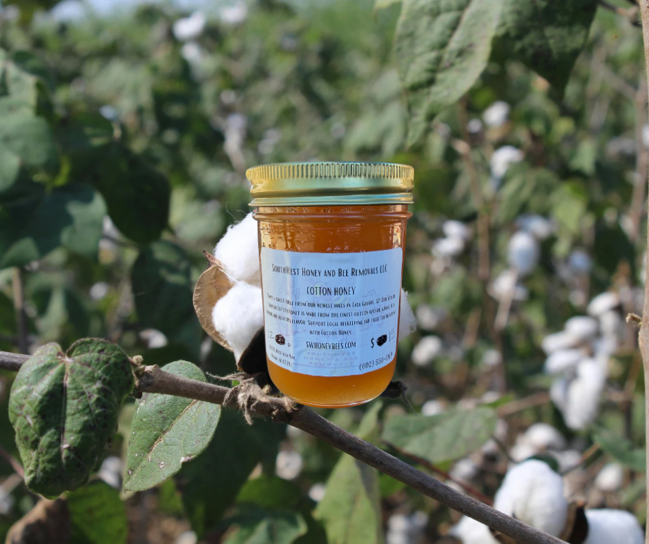 Cotton Blossom Raw Honey (Casa Grande, AZ)